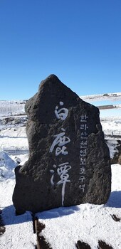 jeju igloo pension