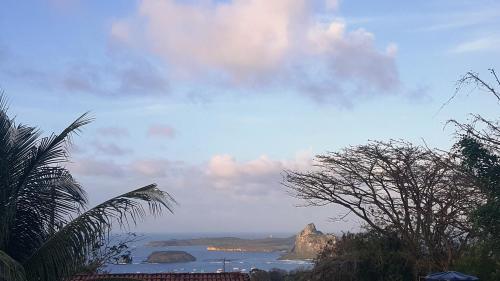 flat visual do porto