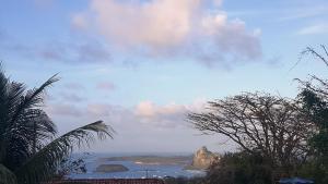 flat visual do porto