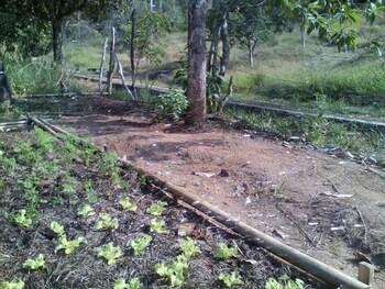 pousada estacao andorinhas