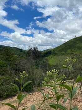 pousada estacao andorinhas