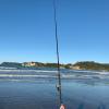 Oceanside Motel,Ferry Landing>>Coromandel,3.5 star