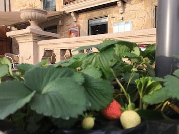 vilagarcia de arousa