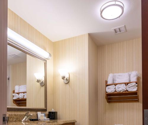 hampton inn alice