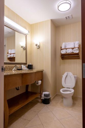 hampton inn alice