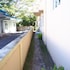 allamanda studios and apartments