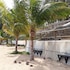 allamanda studios and apartments