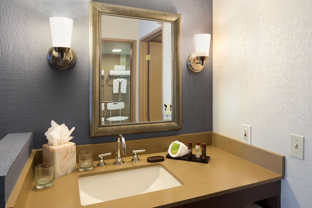 embassy suites by hilton dallas dfw airport south