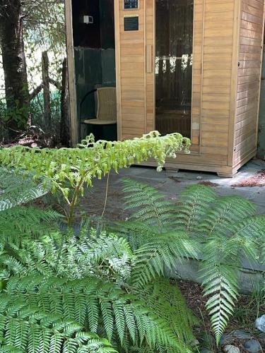 entre hualles y pellines