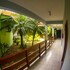 la ferrugem suites
