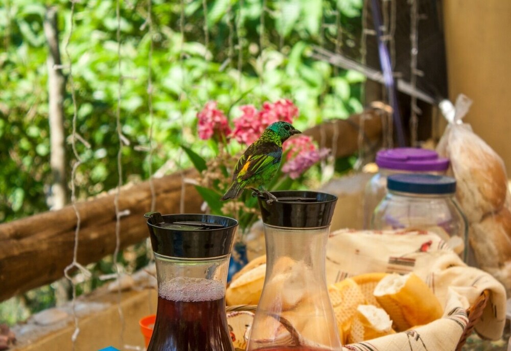 hostel manaca