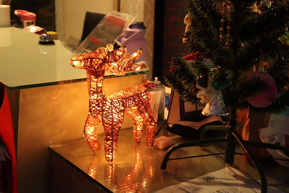 summer oscar boutique hotel