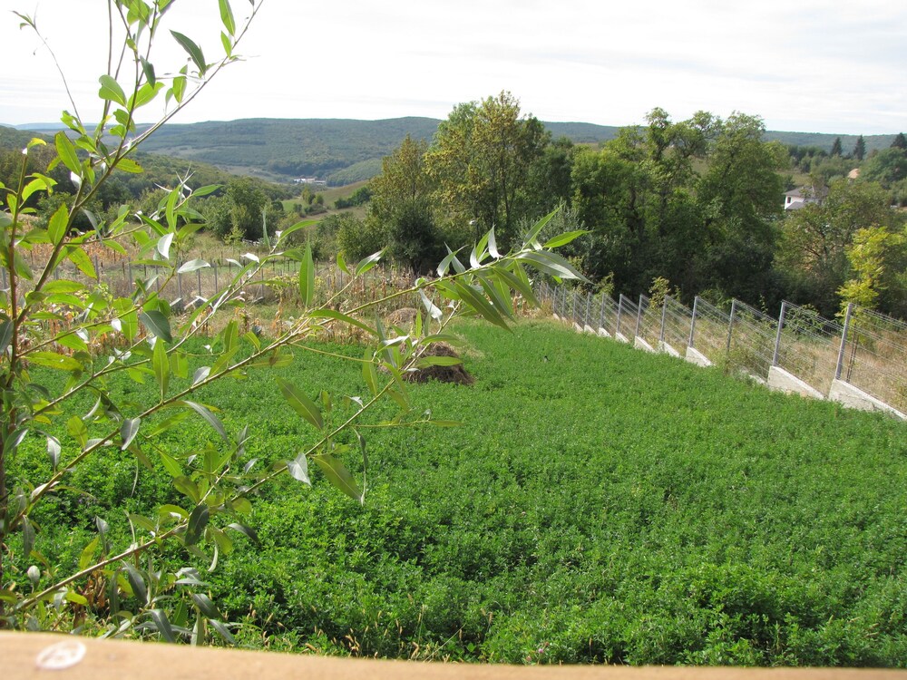 agropensiunea maris