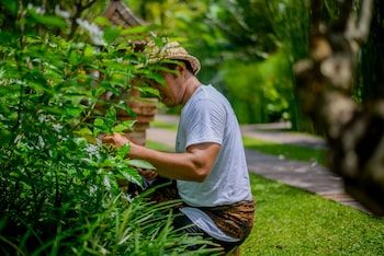 gianyar