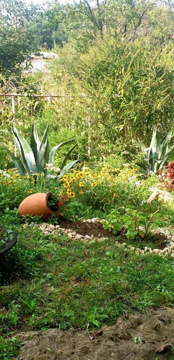 four seasons in kutaisi