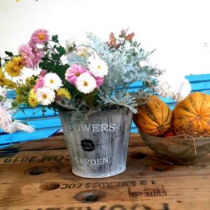 four seasons in kutaisi