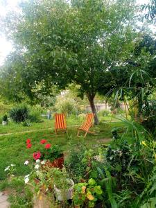 four seasons in kutaisi