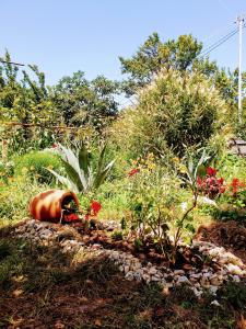 four seasons in kutaisi