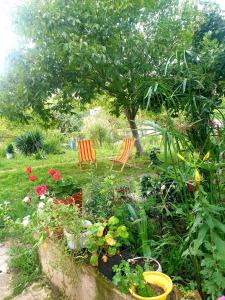 four seasons in kutaisi