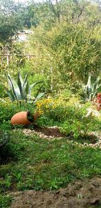 four seasons in kutaisi