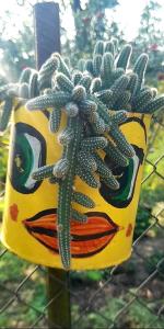 four seasons in kutaisi