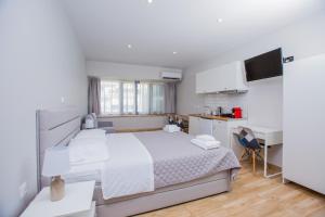 athens raise acropolis project