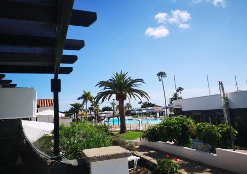 maspalomas lago canary sunset