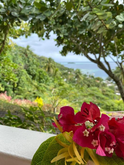 bora bora holidays lodge and villa