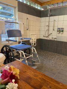 bora bora holidays lodge and villa