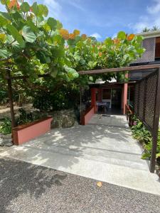 bora bora holidays lodge and villa