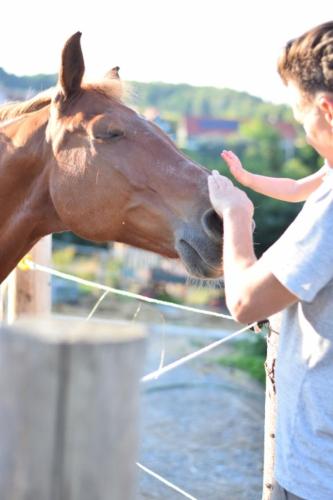 gutshof schirgiswalde