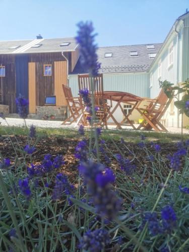 gutshof schirgiswalde