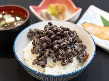 hokuryu