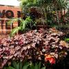 novo hotel
