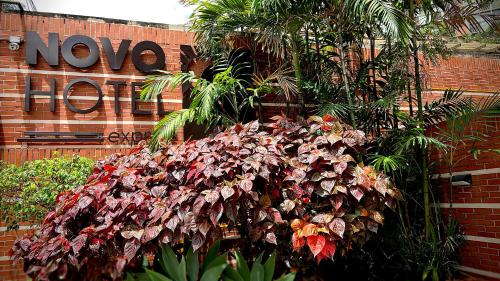 novo hotel