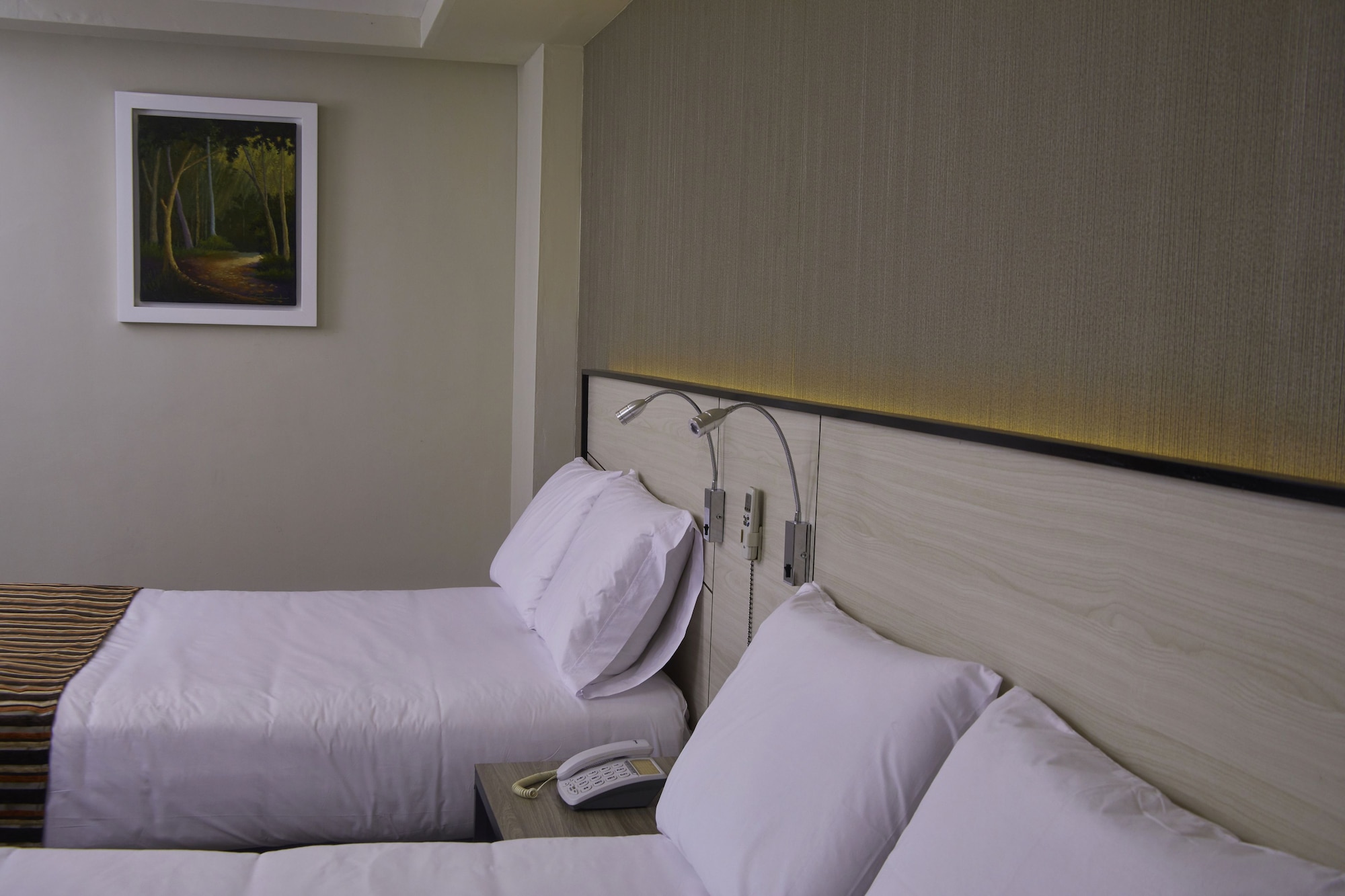 victoria regia hotel