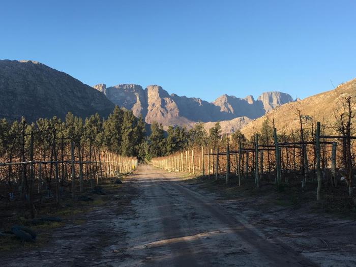 white bridge farm accommodation