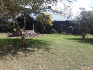 gilgil
