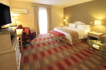 holiday inn monclova by ihg