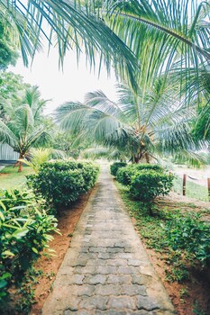 samudra beach resort