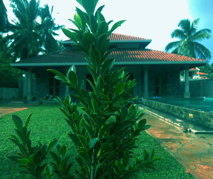 villa ananthaya