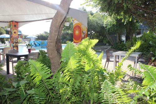 ecolux boutique hotel mozambique