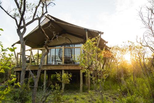 mdluli safari lodge