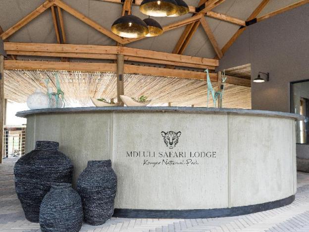 kruger national park