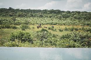 kruger national park