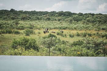 mdluli safari lodge
