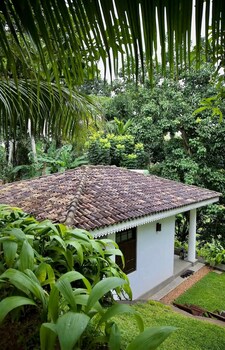 the jungle loft galle
