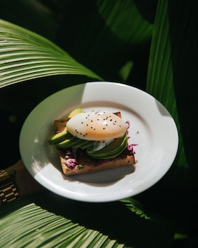 the jungle loft galle