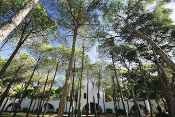 hotel mare pineta