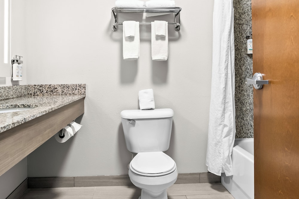 holiday inn express and suites detroit north rosev